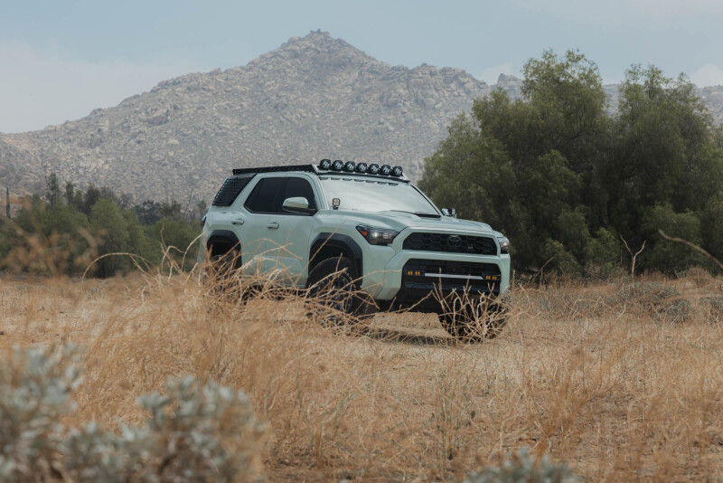 Toyota 4Runner Exterior Window Molle Panels - Passenger - DV8 Offroad - DV8 5th Gen 4Runner Roof Rack (RRTF3-02) - Black - `25-`26